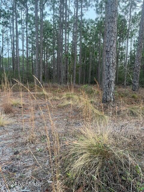 Lot 45-47 Juniper Road Southport, NC 28461 - Photo 4 of 5 Juniper lot