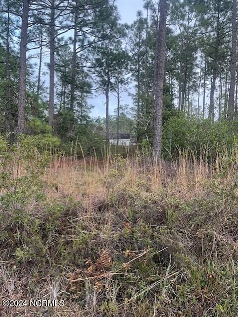 Lot 45-47 Juniper Road Southport, NC 28461 - Photo 5 of 5 Juniper middle looking back