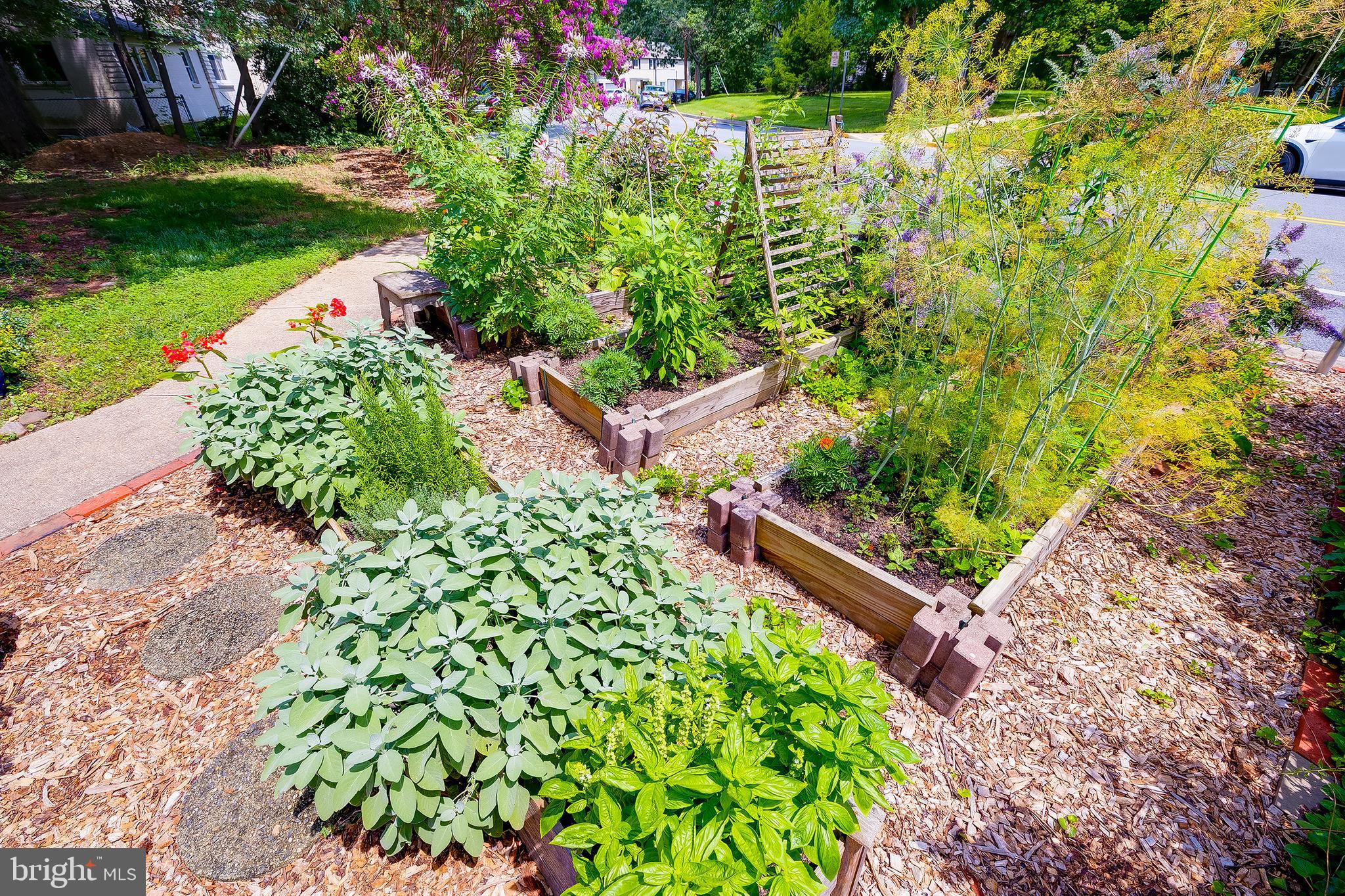 2 Ridge Road Greenbelt, MD 20770 - Photo 10 of 71 Gallery Image 10