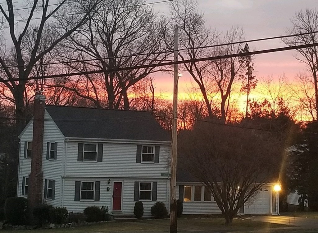 1 Lexington Circle Canton, MA 02021 - Photo 6 of 41 a view of a house with a tree