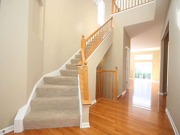 269 Larsdotter Lane, Unit 269 Geneva, IL 60134 - Photo 2 of 25
