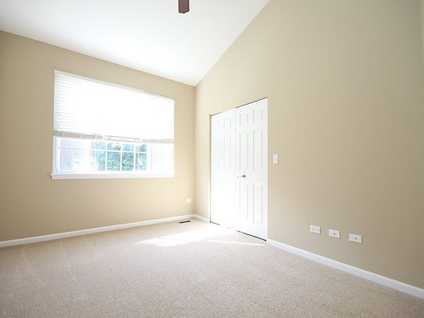 269 Larsdotter Lane, Unit 269 Geneva, IL 60134 - Photo 12 of 25