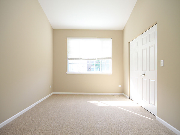 269 Larsdotter Lane, Unit 269 Geneva, IL 60134 - Photo 13 of 25
