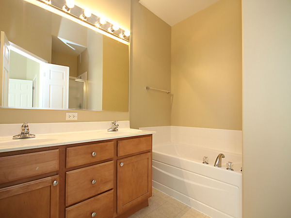 269 Larsdotter Lane, Unit 269 Geneva, IL 60134 - Photo 14 of 25
