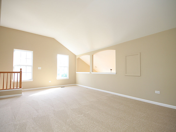 269 Larsdotter Lane, Unit 269 Geneva, IL 60134 - Photo 16 of 25