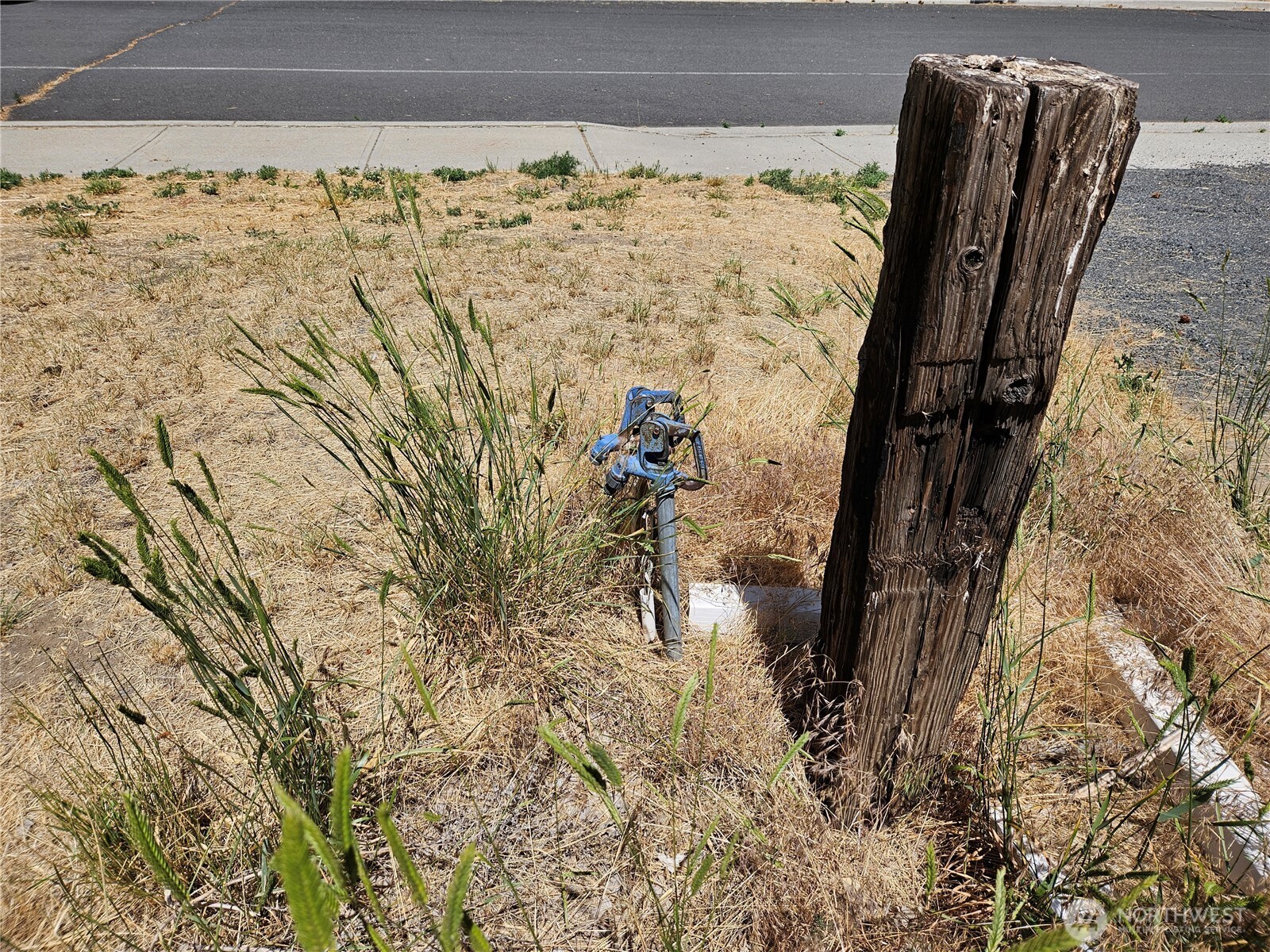 0 West Country Road Almira, WA 99103 - Photo 2 of 10