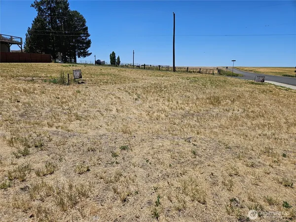 a view of yard with trees