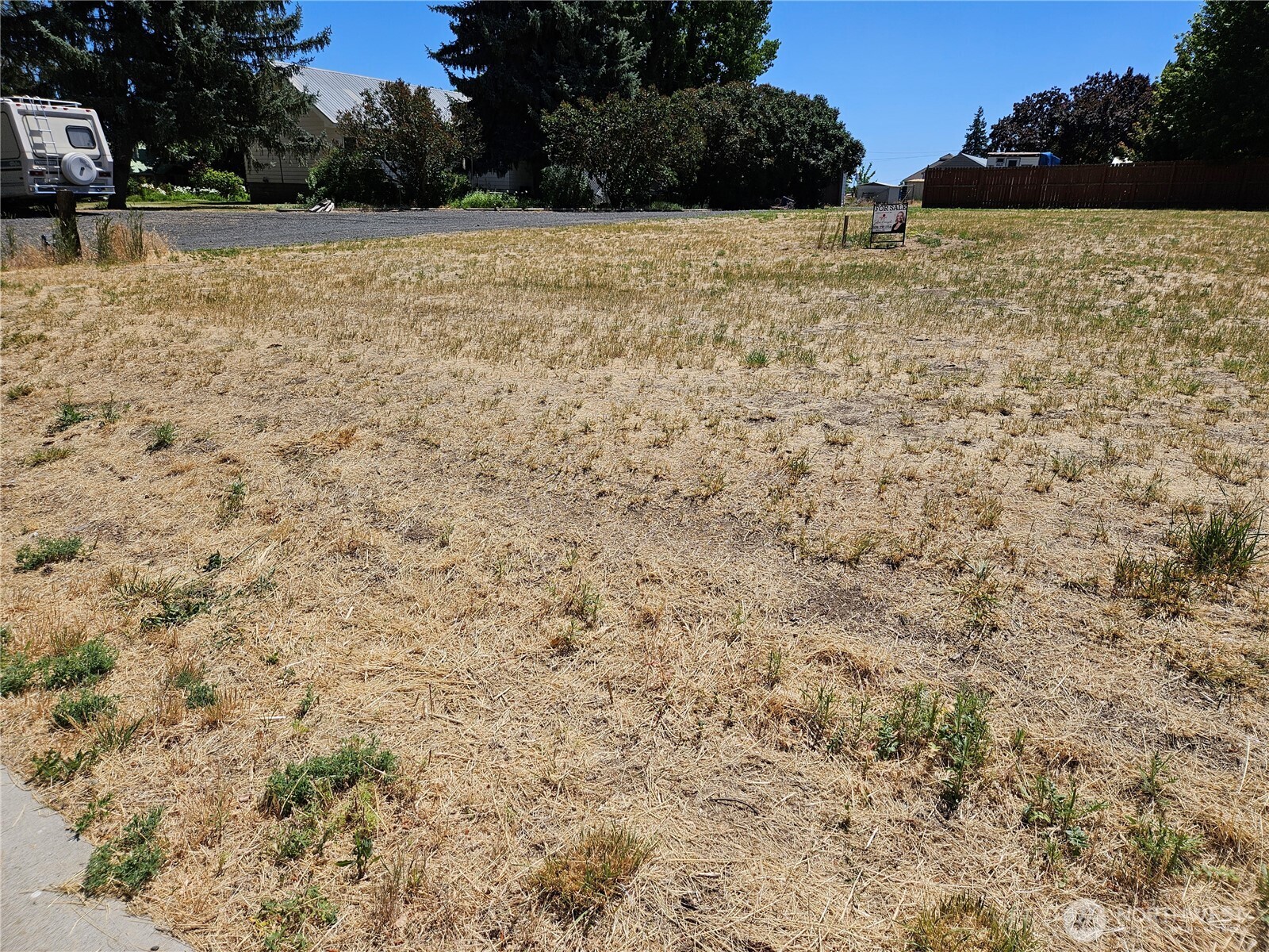 0 West Country Road Almira, WA 99103 - Photo 4 of 10 a view of yard with trees