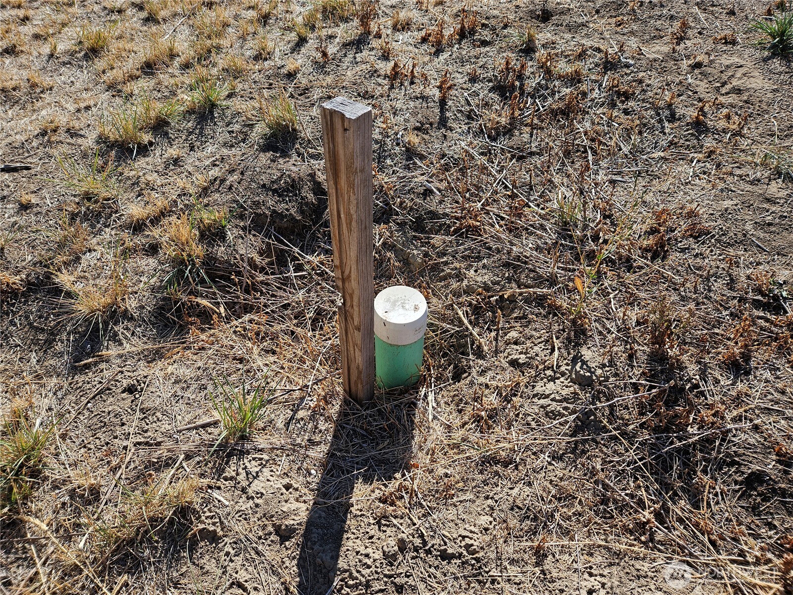 0 West Country Road Almira, WA 99103 - Photo 6 of 10 a bathroom with a shower and a toilet