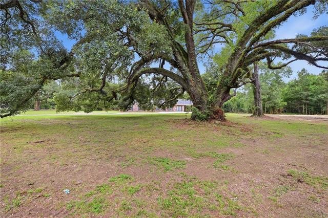 29636 Wagner Road Albany, LA 70711 - Photo 4 of 33 Gallery Image 4