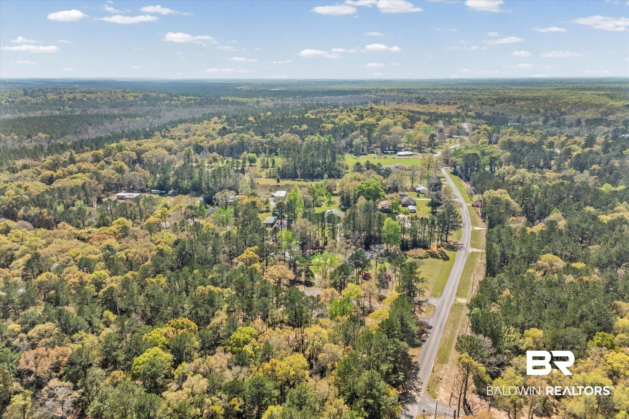 9770 Lakeview Road Bay Minette, AL 36507 - Photo 37 of 44 Aerial view of a heavily wooded area