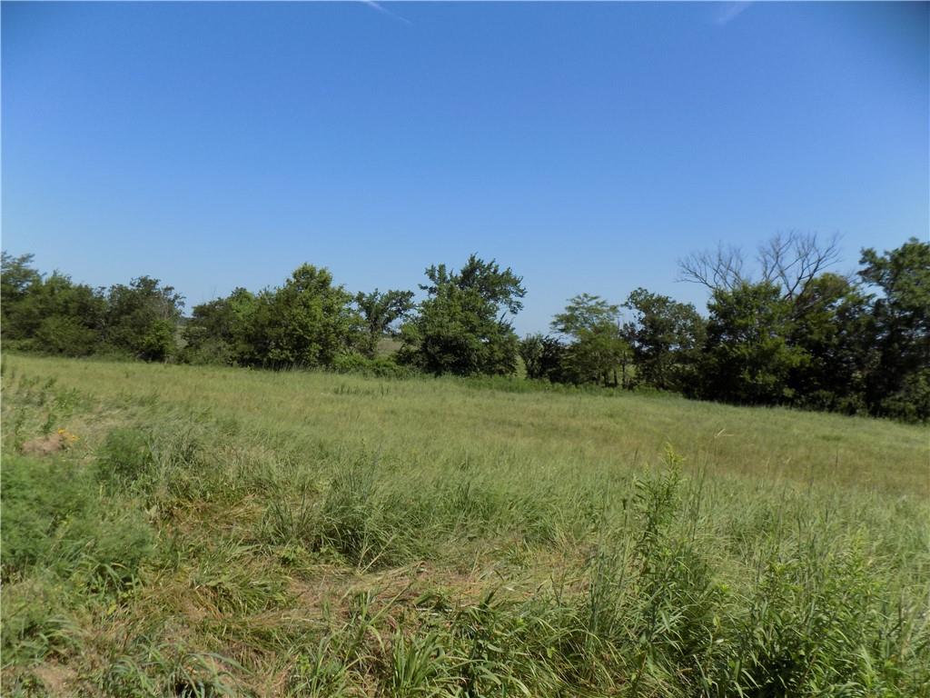 0 Southeast 900 Road Kincaid, KS 66039 - Photo 7 of 20