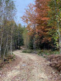 Lot 17 L15-3 Coburn Road Carthage, ME 04224 - Photo 12 of 16 IMG_3587