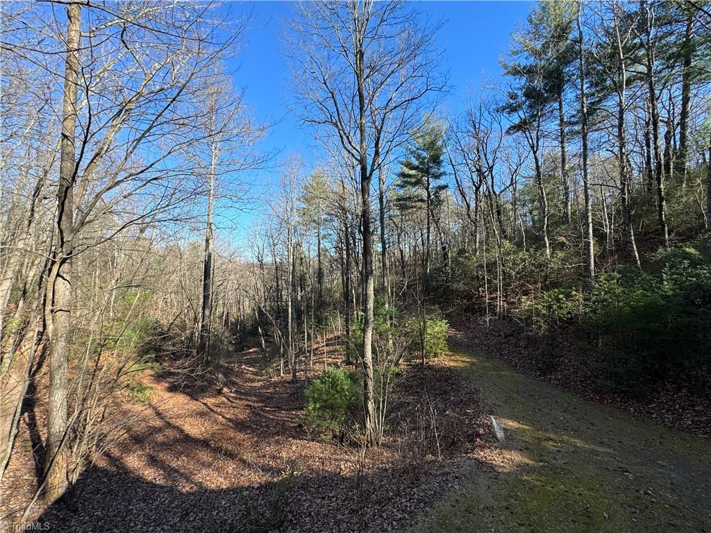 203 Eagle Nest Road Purlear, NC 28665 - Photo 23 of 27