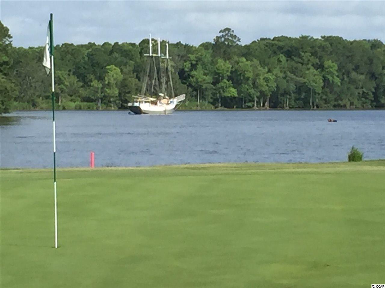 4543 Carriage Run Circle Murrells Inlet, SC 29576 - Photo 23 of 25 Gallery Image 23