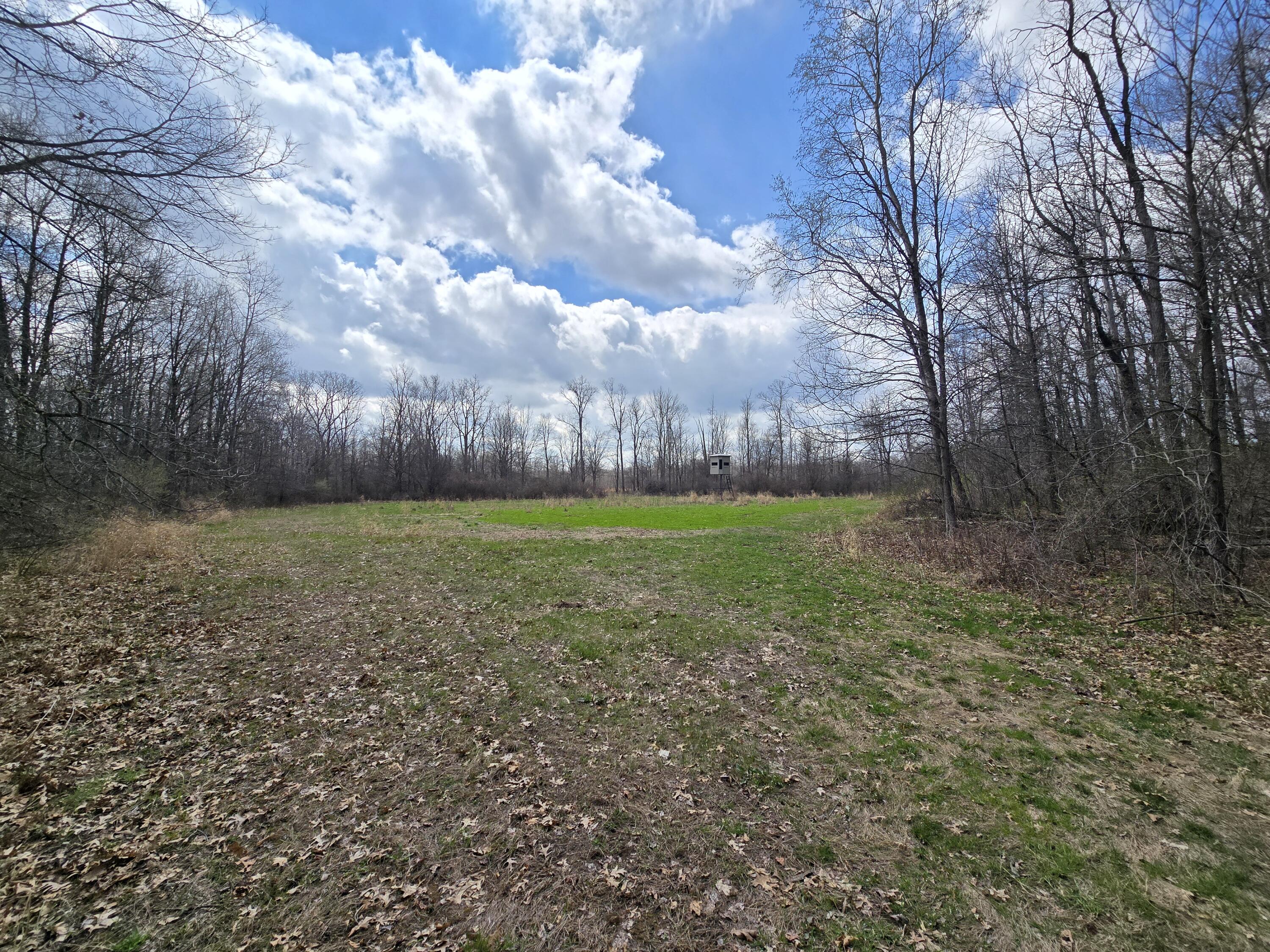1284 Maplegrove Road Jackson, MI 49201 - Photo 25 of 45 20260413_131401