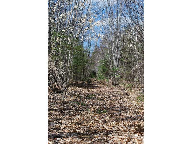154 Doe Pond Access Road Monson, ME 04464 - Photo 22 of 27 Other.
