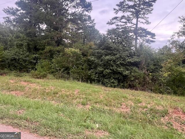 3107 Wallace Road Gainesville, GA 30507 - Photo 1 of 1 a view of a yard