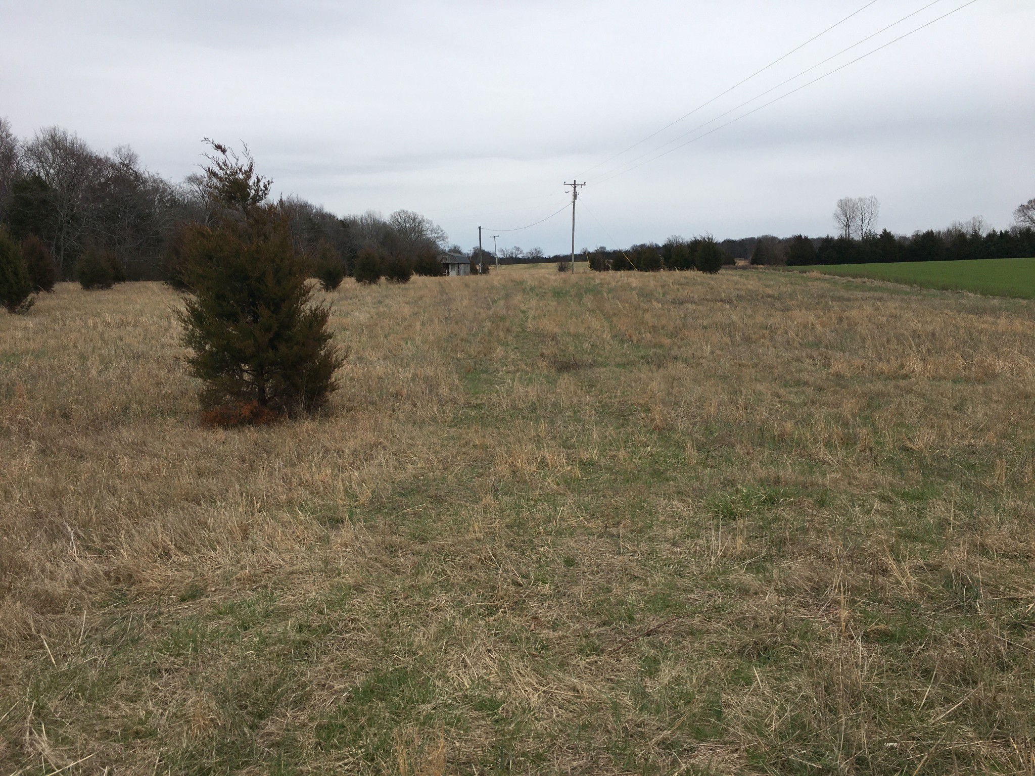 4001 Mt Road Lewisburg, TN 37091 - Photo 1 of 8 Gallery Image 1