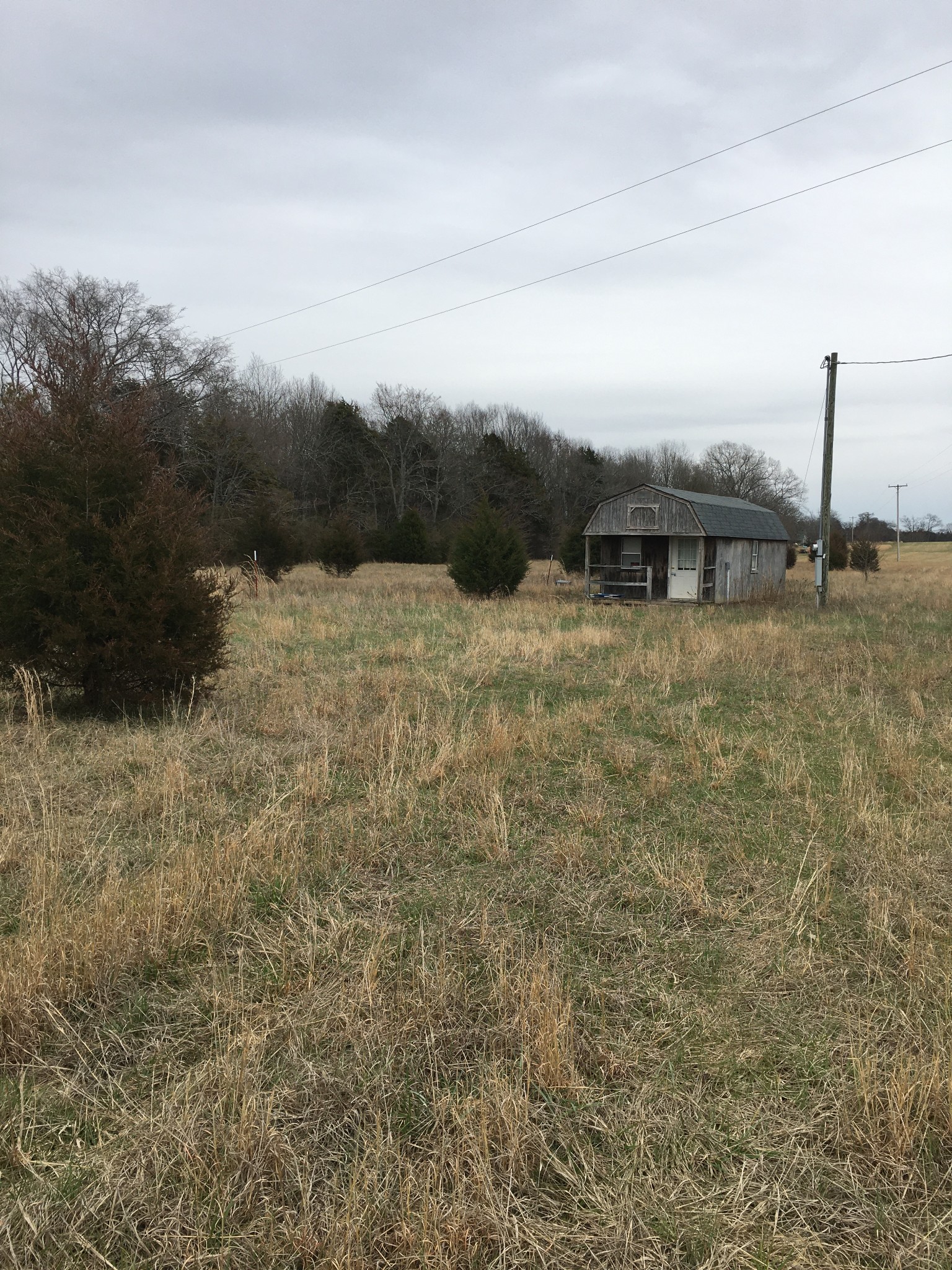 4001 Mt Road Lewisburg, TN 37091 - Photo 3 of 8 Gallery Image 3