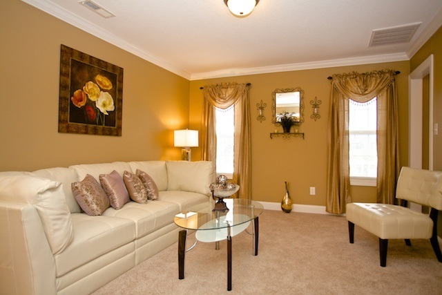 210 Emerald Ridge Road Jacksonville, NC 28546 - Photo 4 of 15 Additional Photo
