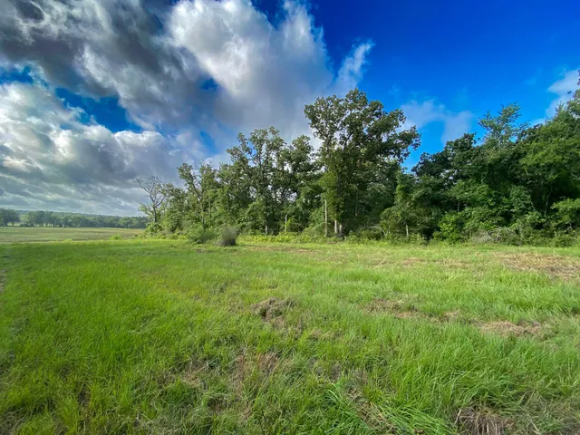 $129,500 | 4610 County Road 426, Marquez, TX 77865
