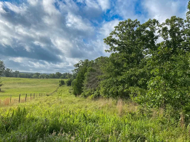 $129,500 | 4610 County Road 426, Marquez, TX 77865