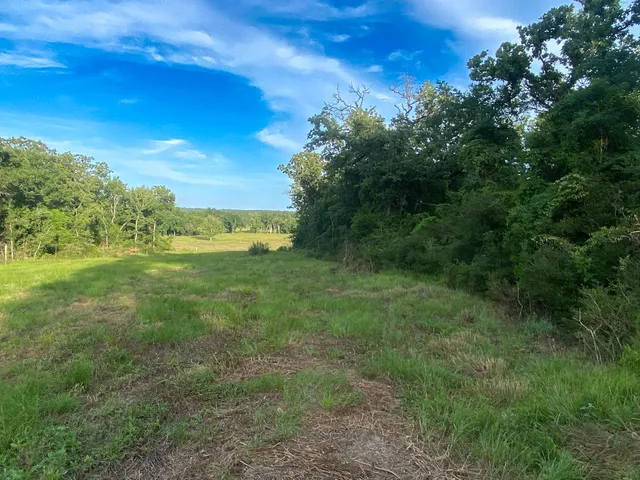 $129,500 | 4610 County Road 426, Marquez, TX 77865