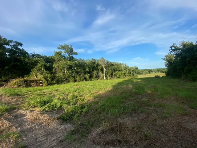 $129,500 | 4610 County Road 426, Marquez, TX 77865