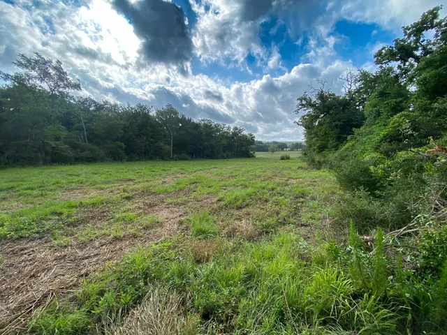 $129,500 | 4610 County Road 426, Marquez, TX 77865