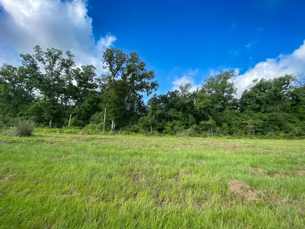a view of field with trees in the background