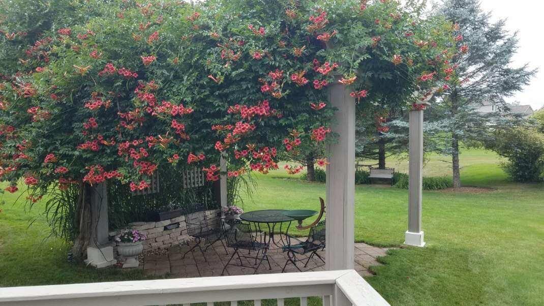 18 West Suttons Ridge Battle Creek, MI 49014 - Photo 39 of 41 Pergula