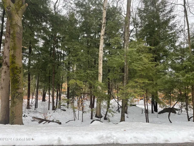 $199,900 | L93 Lois Ln Lake, Lake Luzerne, NY 12846