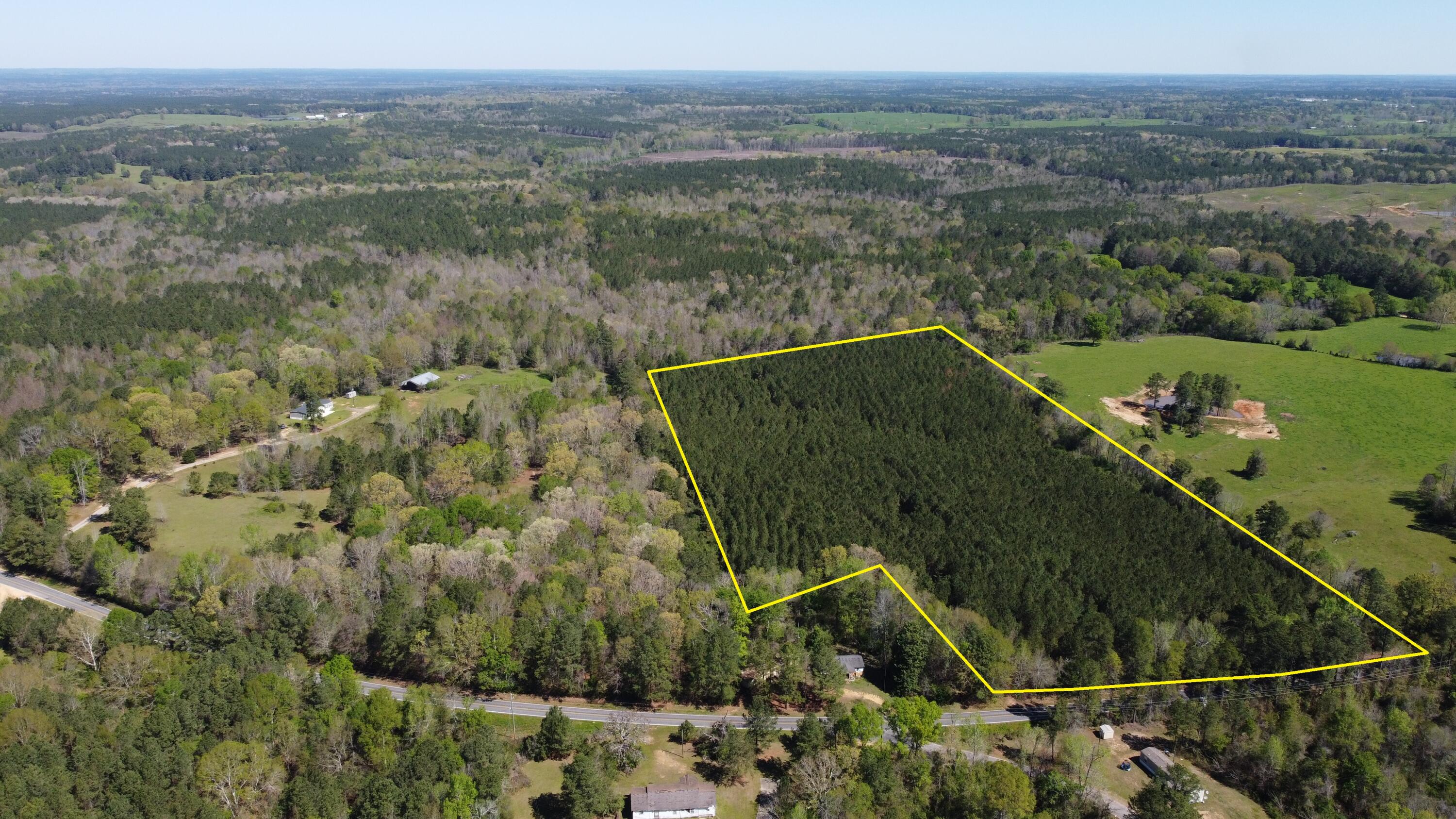 0 Shivers Road Pinola, MS 39149 - Photo 3 of 5 DJI_0641