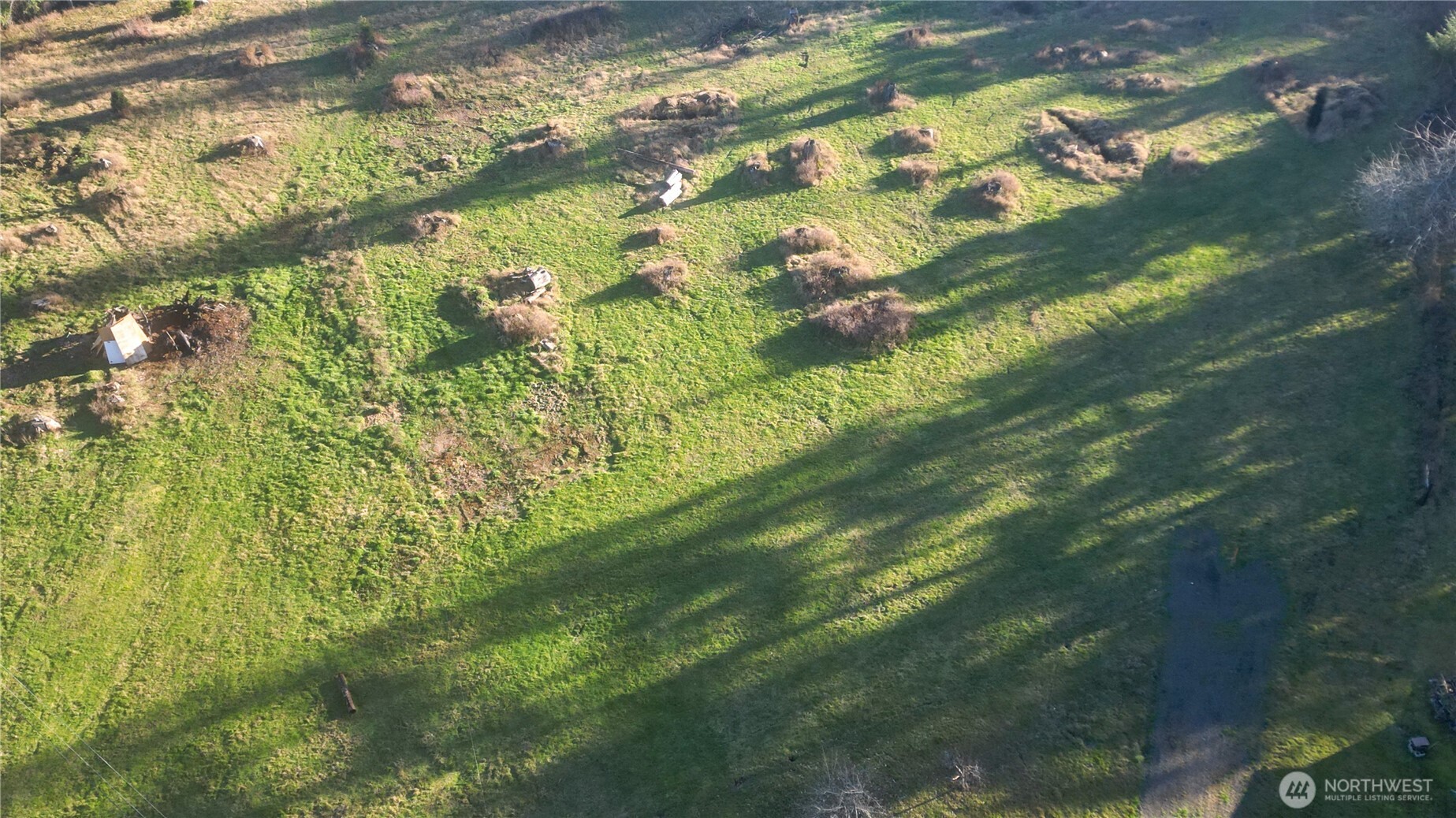 441 Elma Hicklin Road West McCleary, WA 98557 - Photo 3 of 10