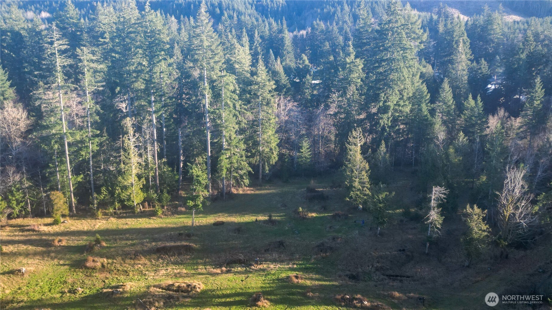 441 Elma Hicklin Road West McCleary, WA 98557 - Photo 7 of 10 a view of a lake view