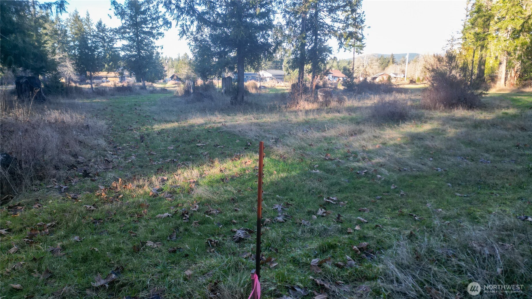 441 Elma Hicklin Road West McCleary, WA 98557 - Photo 8 of 10