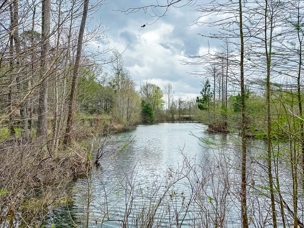 2430 Chase Road Samson, AL 36477 - Photo 44 of 46