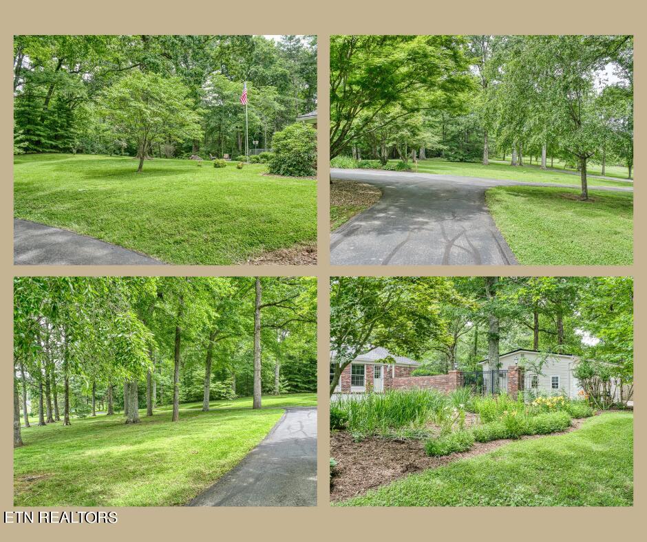 1616 Rickman Road Livingston, TN 38570 - Photo 11 of 47 Untitled design (27)
