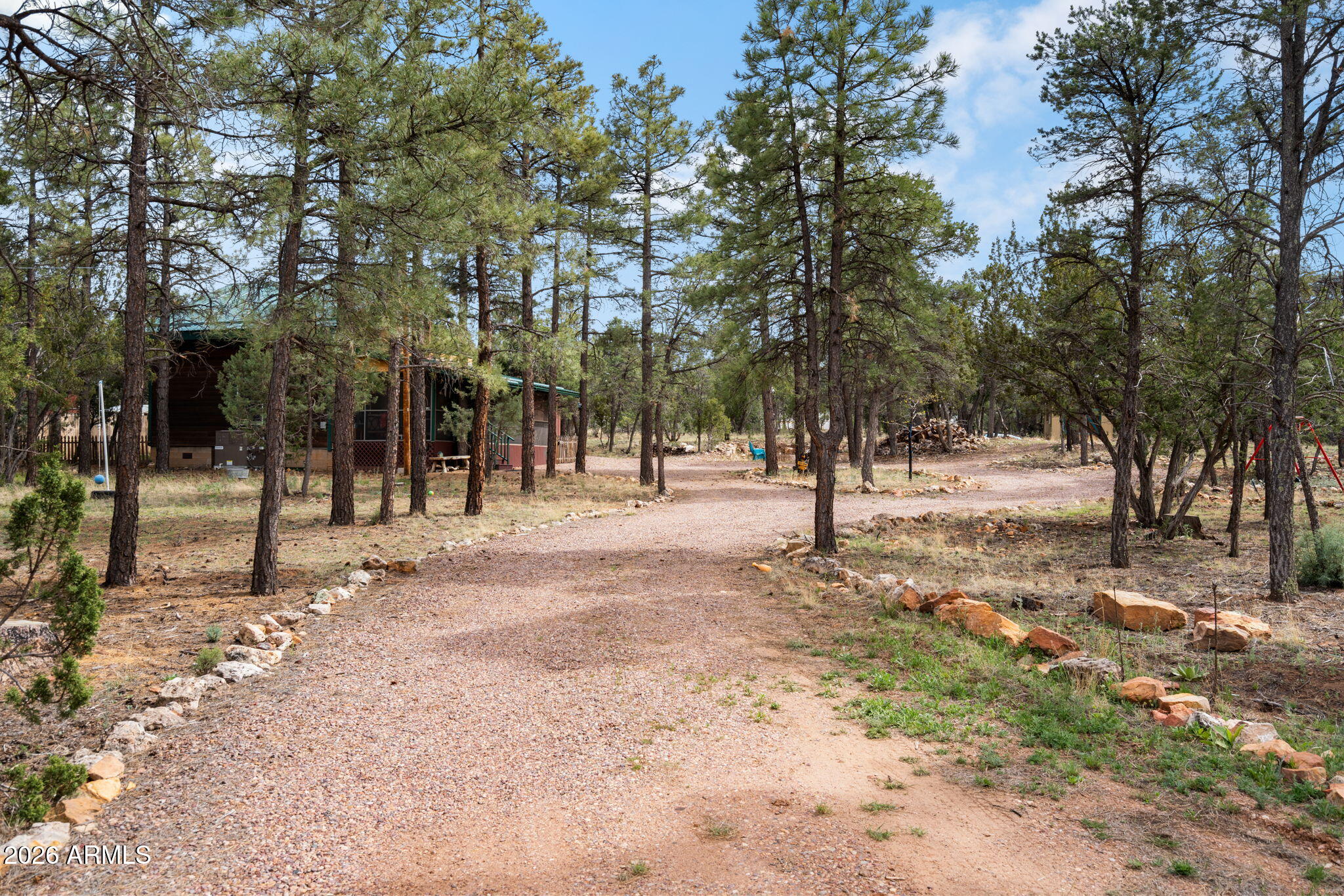 2095 Ranger Road Overgaard, AZ 85933 - Photo 3 of 25 a view of road with trees