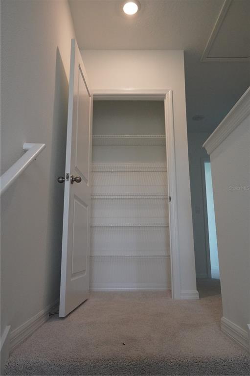 2476 Riversong Ldg Lane Wesley Chapel, FL 33543 - Photo 14 of 22 a view of closet area