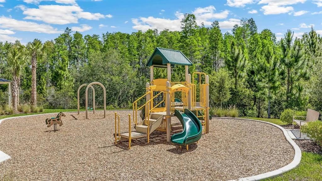 2476 Riversong Ldg Lane Wesley Chapel, FL 33543 - Photo 21 of 22 a view of a slide with a slide