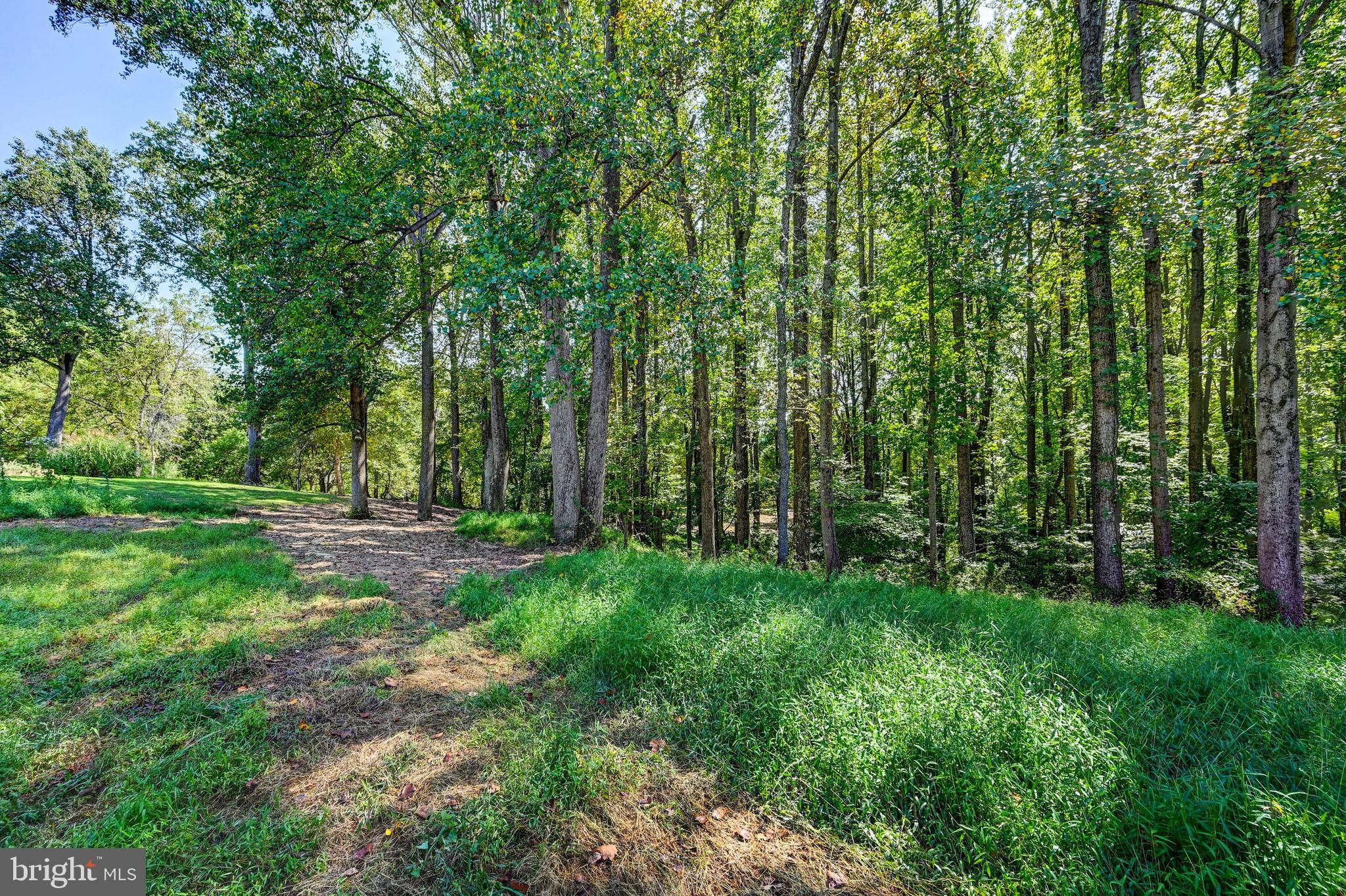 14490 Western Road Cockeysville, MD 21030 - Photo 25 of 27 a view of backyard with green space