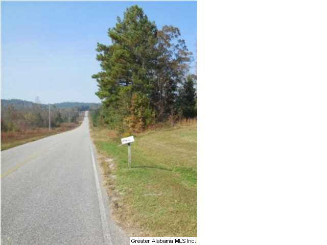 5095 Bluff Springs Road Ashland, AL 36251 - Photo 4 of 18