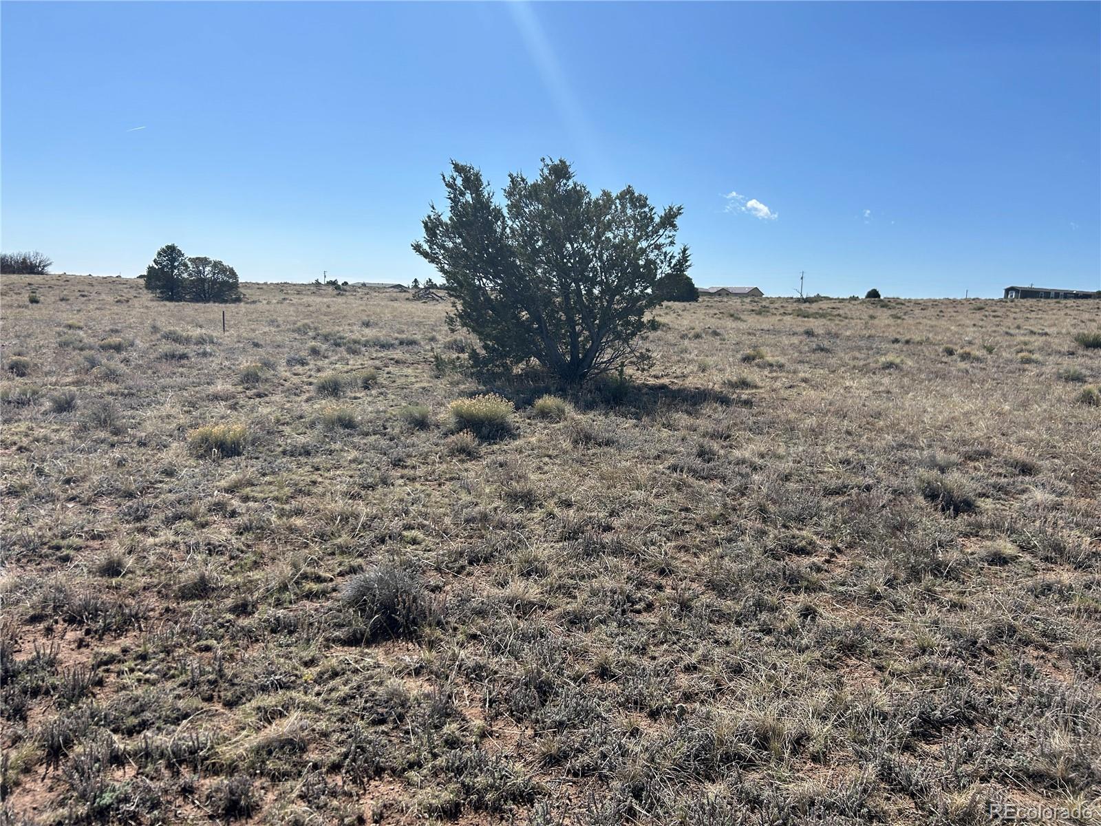 Lot 94 Navajo Ranch Walsenburg, CO 81089 - Photo 7 of 15 a view of a dry yard with a mountain in the background