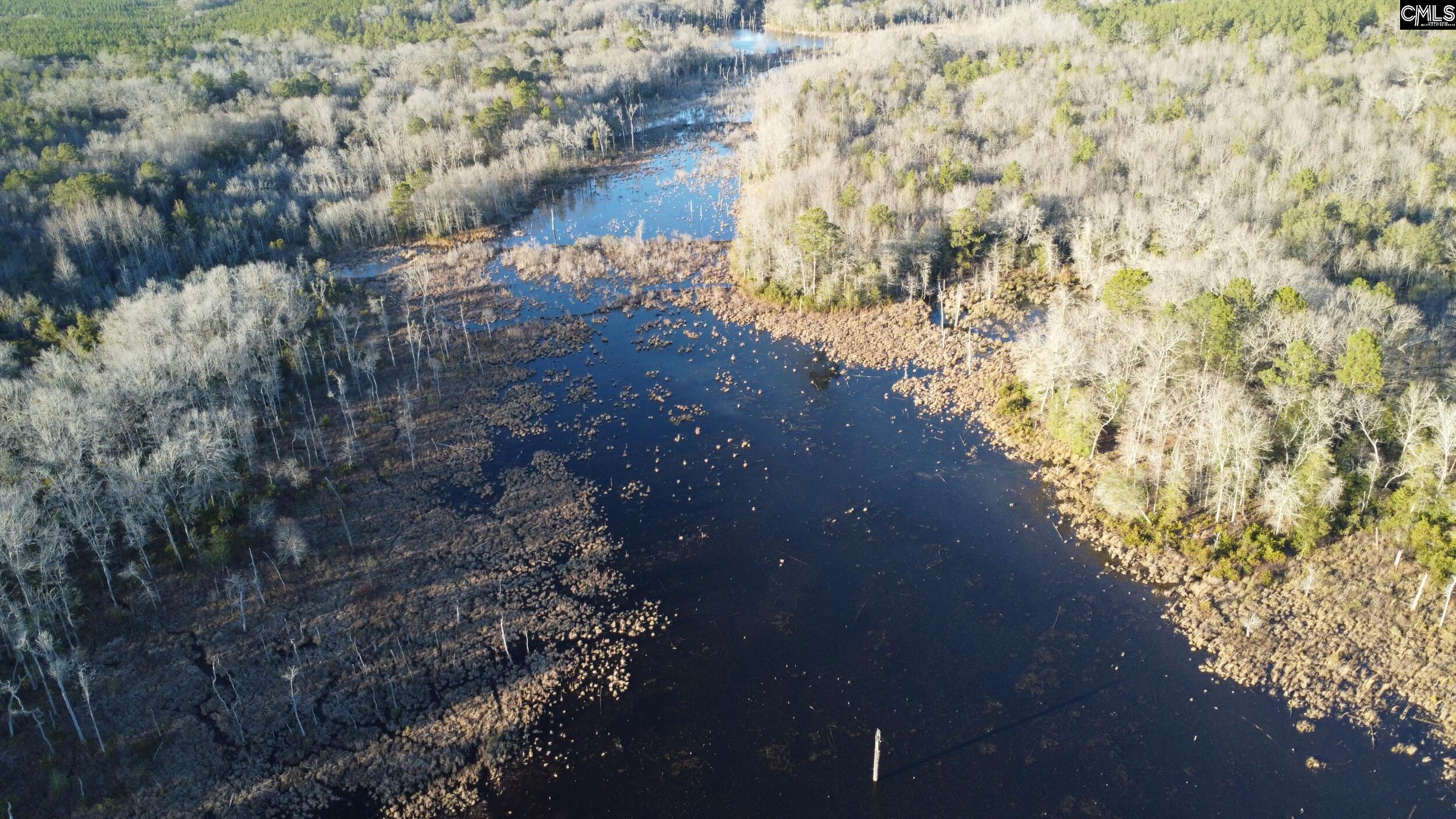 Tbd Tbd Millers Pond Road Salley, SC 29137 - Photo 19 of 20
