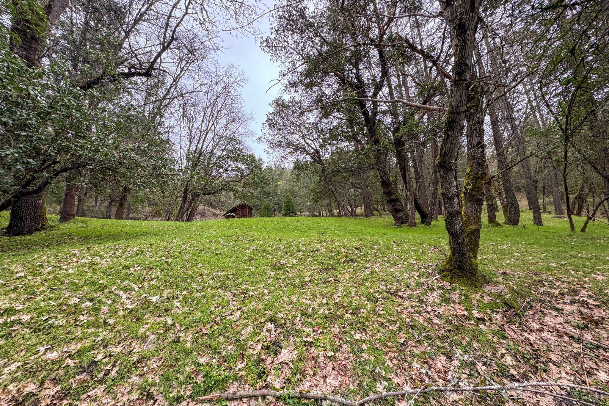 2109 Knowles Road Medford, OR 97501 - Photo 5 of 67 4-web-or-mls-ApxKR (4)