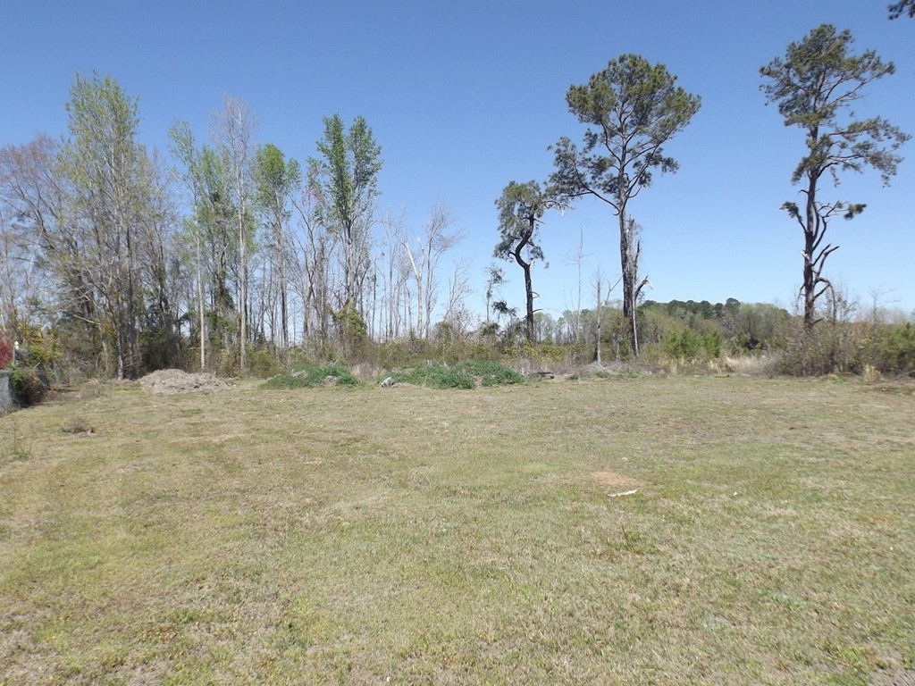 Tbd Tbd Governor Richardson Road Summerton, SC 29148 - Photo 2 of 7 Photo 2