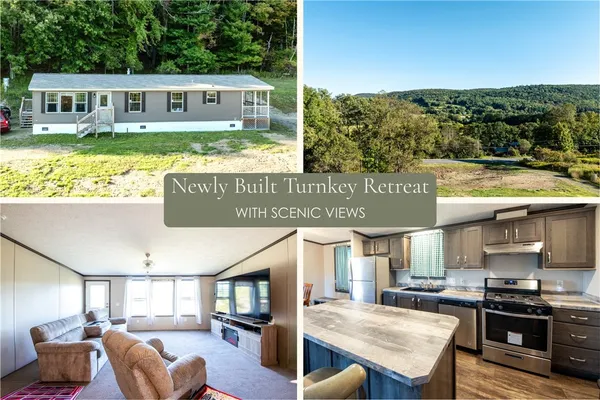 $245,000 | 7545 Charlotte Creek Road, Davenport, NY 13750