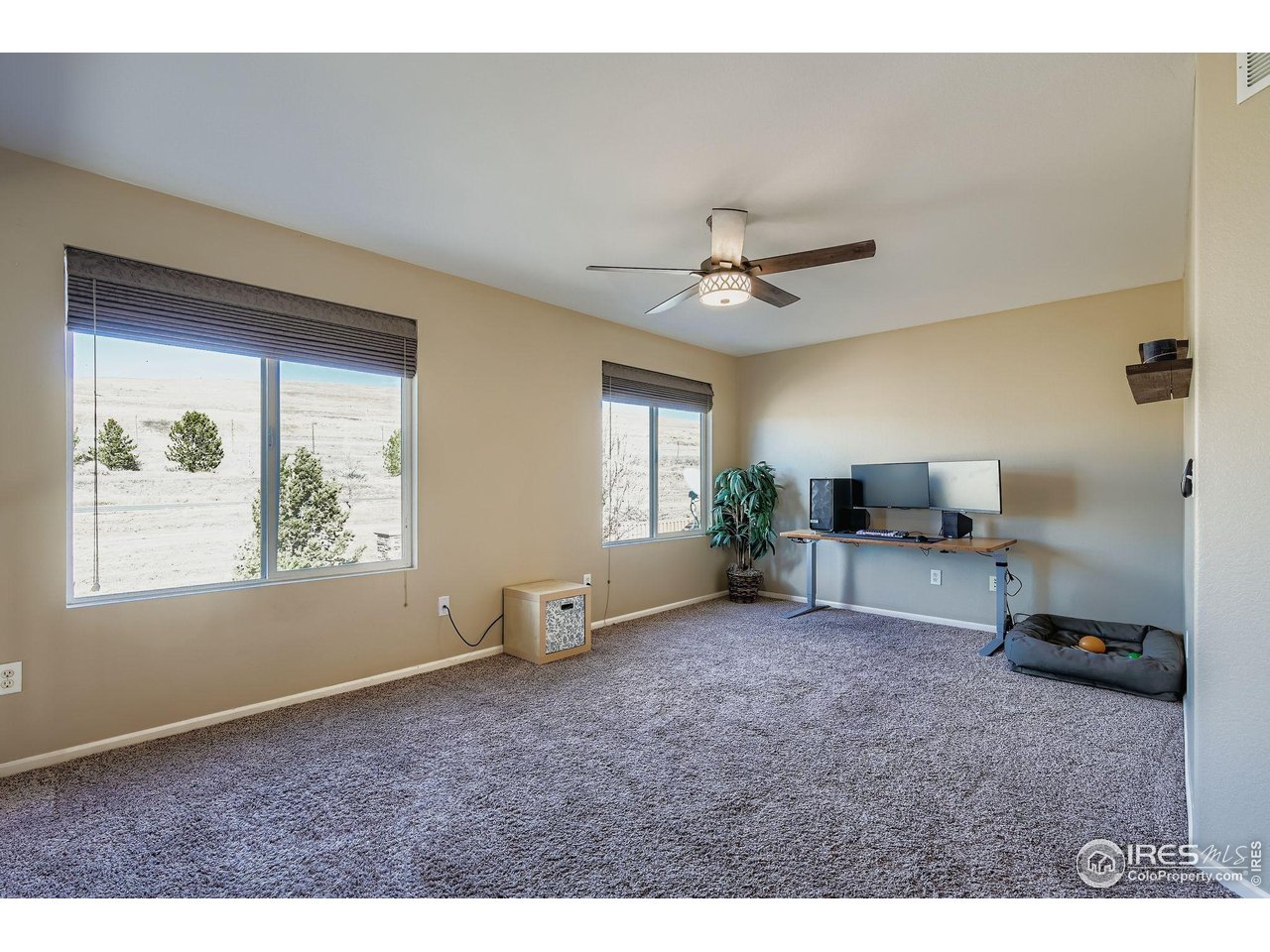 2011 Alpine Drive Erie, CO 80516 - Photo 16 of 21 a living room with furniture and a window
